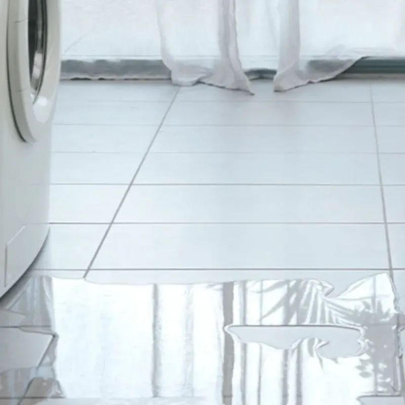 Appliance Leak Cleanup in Aberdeen, IN