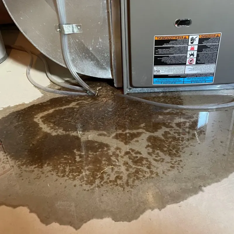Pipe Burst and Leak Restoration in Aberdeen, IN